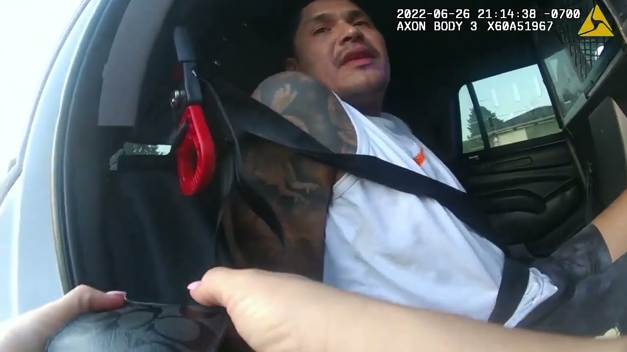 Drunk reckless driving with small kids in vehicle