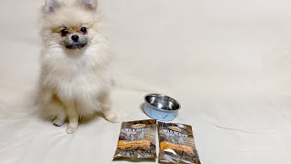 食ムラが直ったので試した方法と去勢後の成犬用フードを試食します…！（NutroWildRecipeサーモン）≪ポメラニアン#174≫