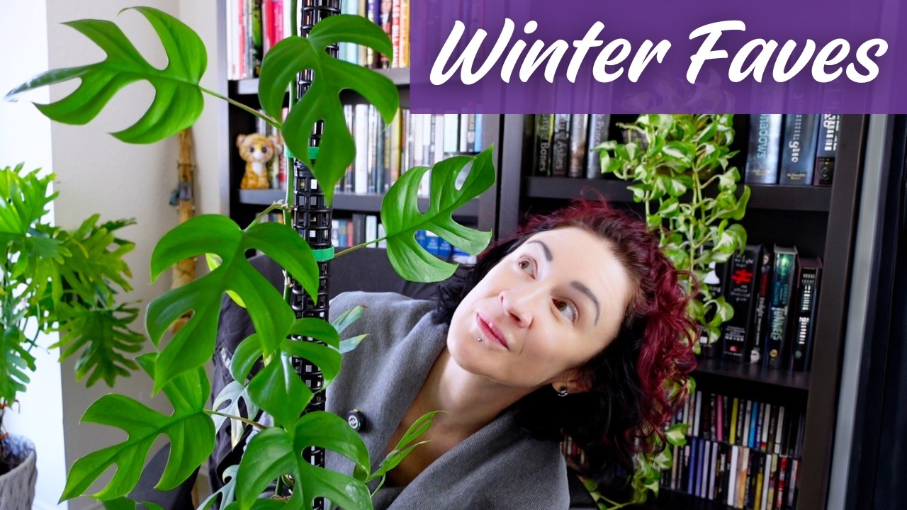 10 Plants That Impressed Me All Winter Long