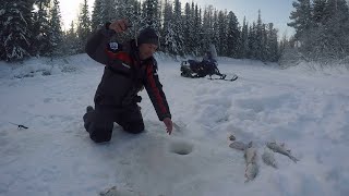 Вот это удачно я переехал. Рыбалка на красивой таёжной речушки.