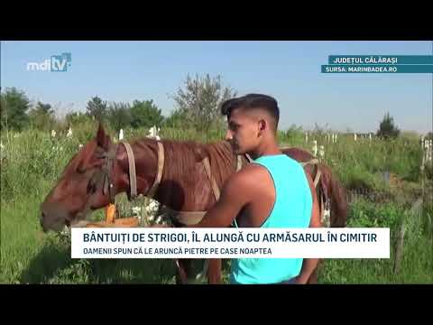 Video: De Ce Ne Strecuram? Tot Ce Trebuie Să știți