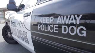 Brea PD K9 Unit