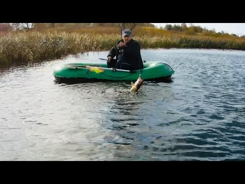 Видео: 3:0 БАТЯ ОТОРВАЛСЯ ПО ЩУКЕ ЗА ВЕСЬ СЕЗОН. РЫБАЛКА С ЛОДКИ НА СПИННИНГ. 14 ОКТЯБРЯ 2023