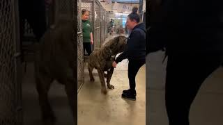 “He Hit Her With Everything… And She Held Him 😳🐶” Content