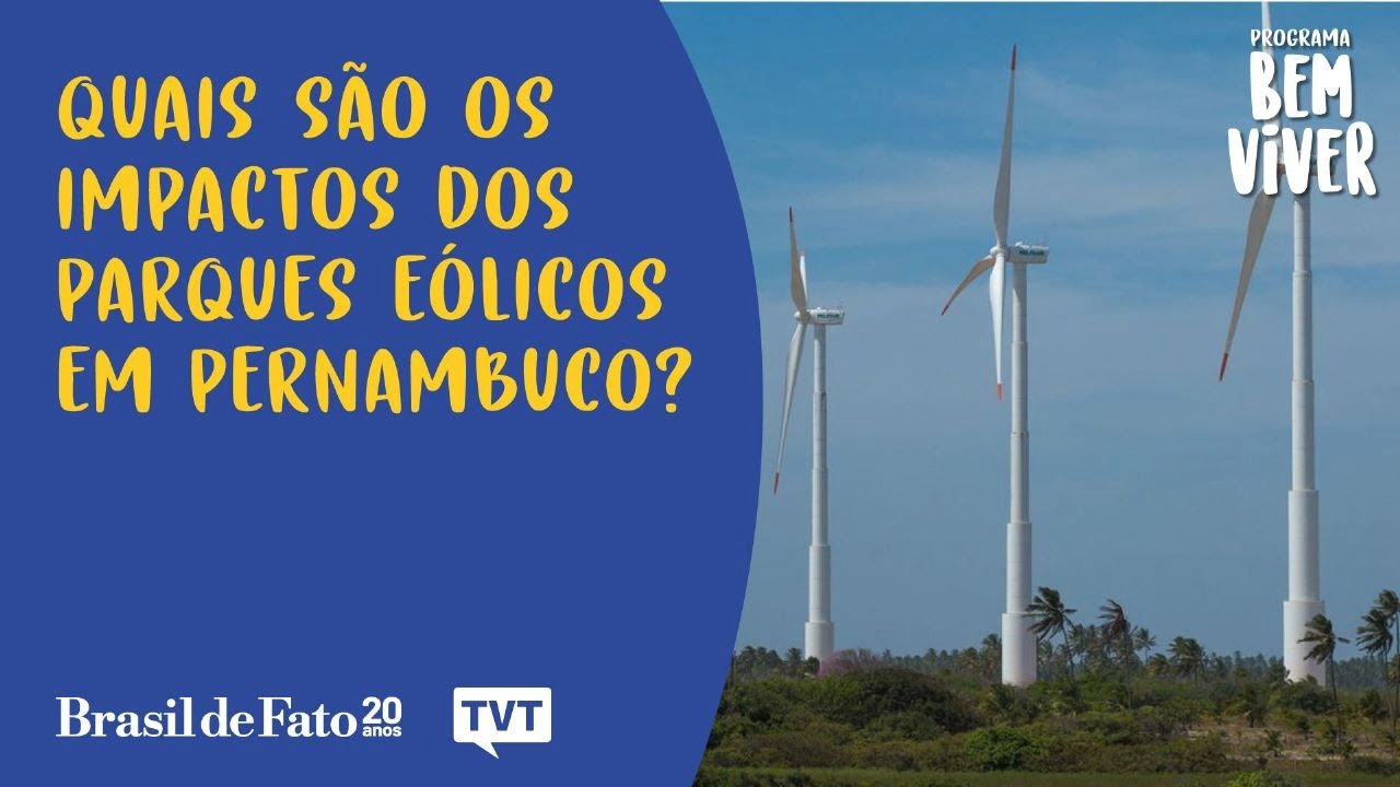 Quais impactos dos parques eólicos em Pernambuco?