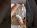 Pasted Fresh Block #gymchalk #asmr