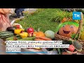 На УИКе в Казани жители научились резьбе по фруктам и посмотрели на работы детей