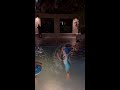 Aanya in baby pool swimming shorts  simpy saurabh vlogs