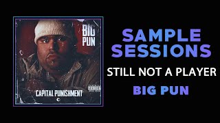 Sample Sessions - Episode 295: Still Not A Player - Big Pun