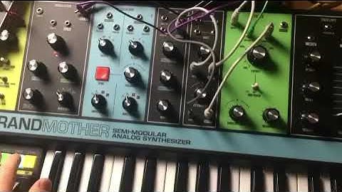 The new MOOG Submother? Grandmother+subharmonicon