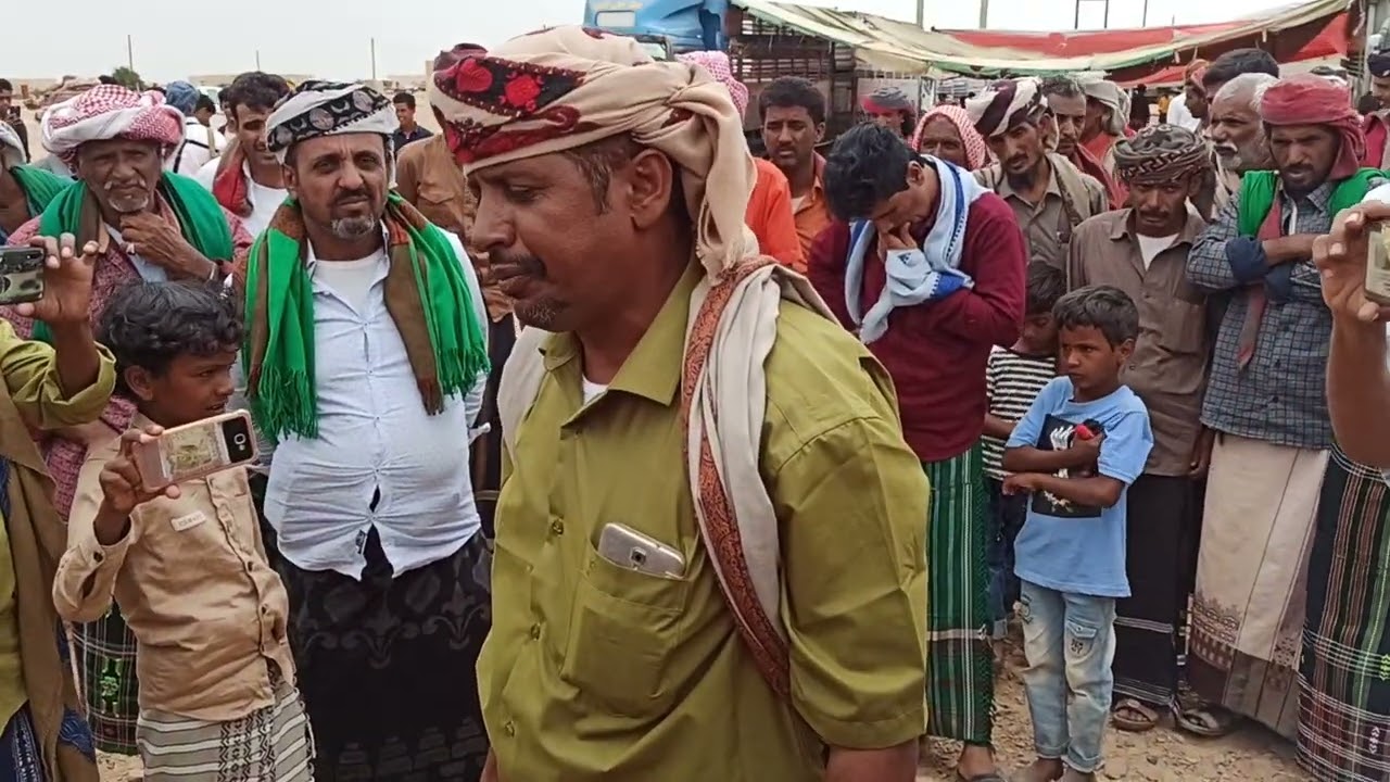 زامل سيباني