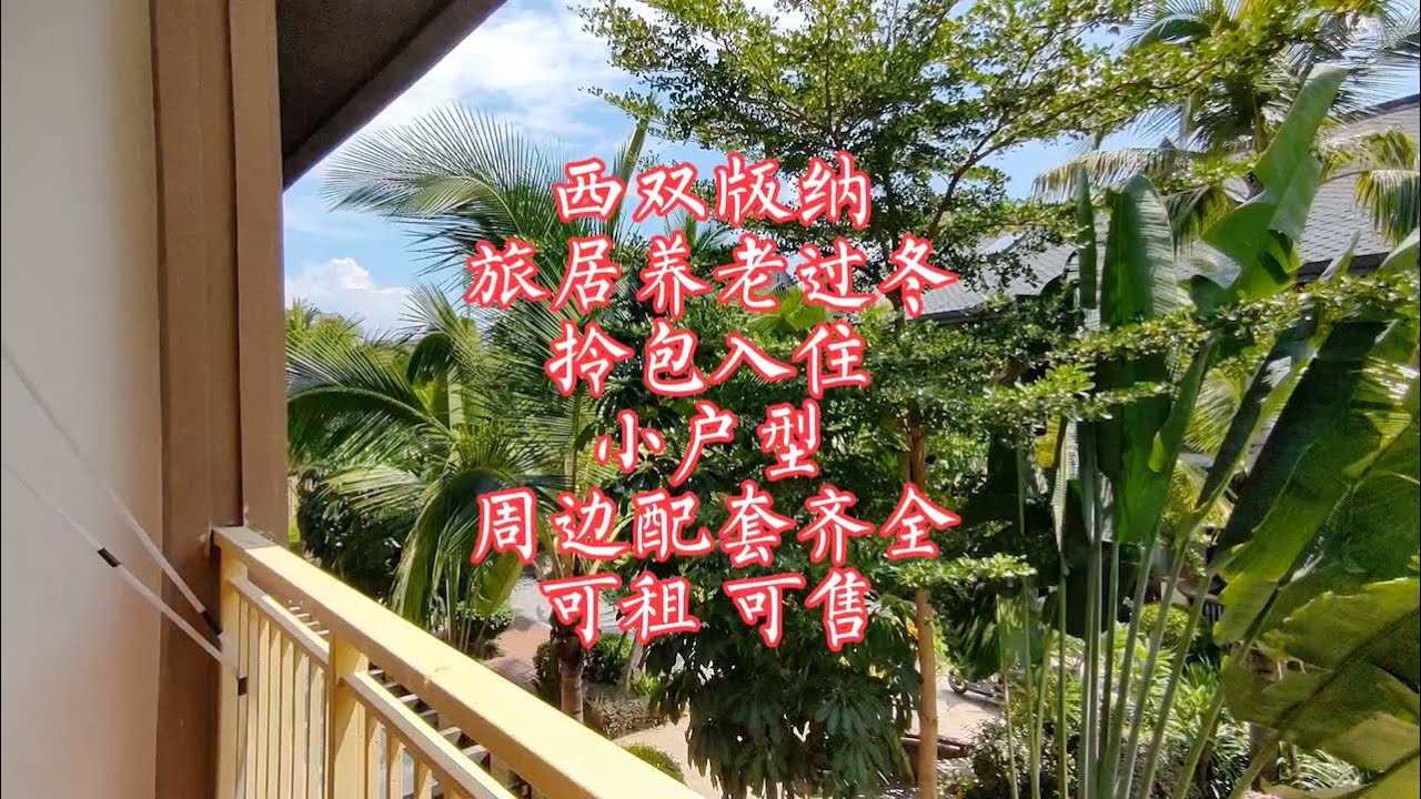 【小龙在版纳】西双版纳，旅居养老过冬，小户型，可租，可售。2023-9-11 - YouTube
