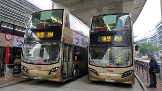Hong Kong Bus KMB ATENU308 @ 214 九龍巴士 Alexander Dennis Enviro500 MMC 長沙灣(甘泉街) - 油塘