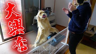 まるが我を忘れて大興奮！！！！