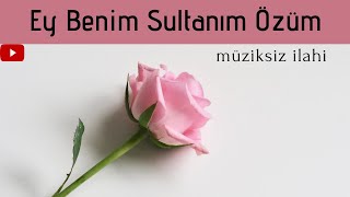 Ey Benim Sultanım Özüm - Müziksiz İlahi / Ömer Faruk Demirbaş Resimi