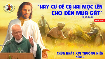 Chúa Nhật , Thánh Lễ Tuần XVI Thường Niên, Năm A - 22/07/2023