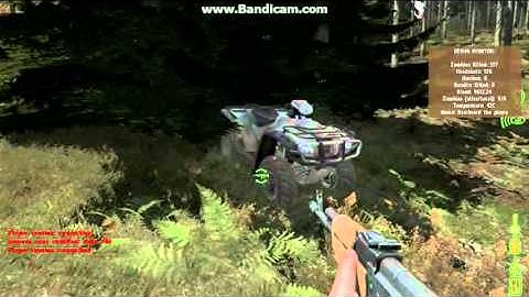 DAYZ: Nyan ATV