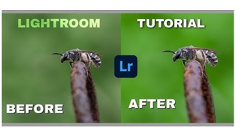 How to Edit Macro photos using Lightroom cc Mobile .