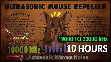 19000 to 21000 kHz Stop Mice Activity Using High Frequency Sound 🐭🔊🚫 | Scientifically Calibrated