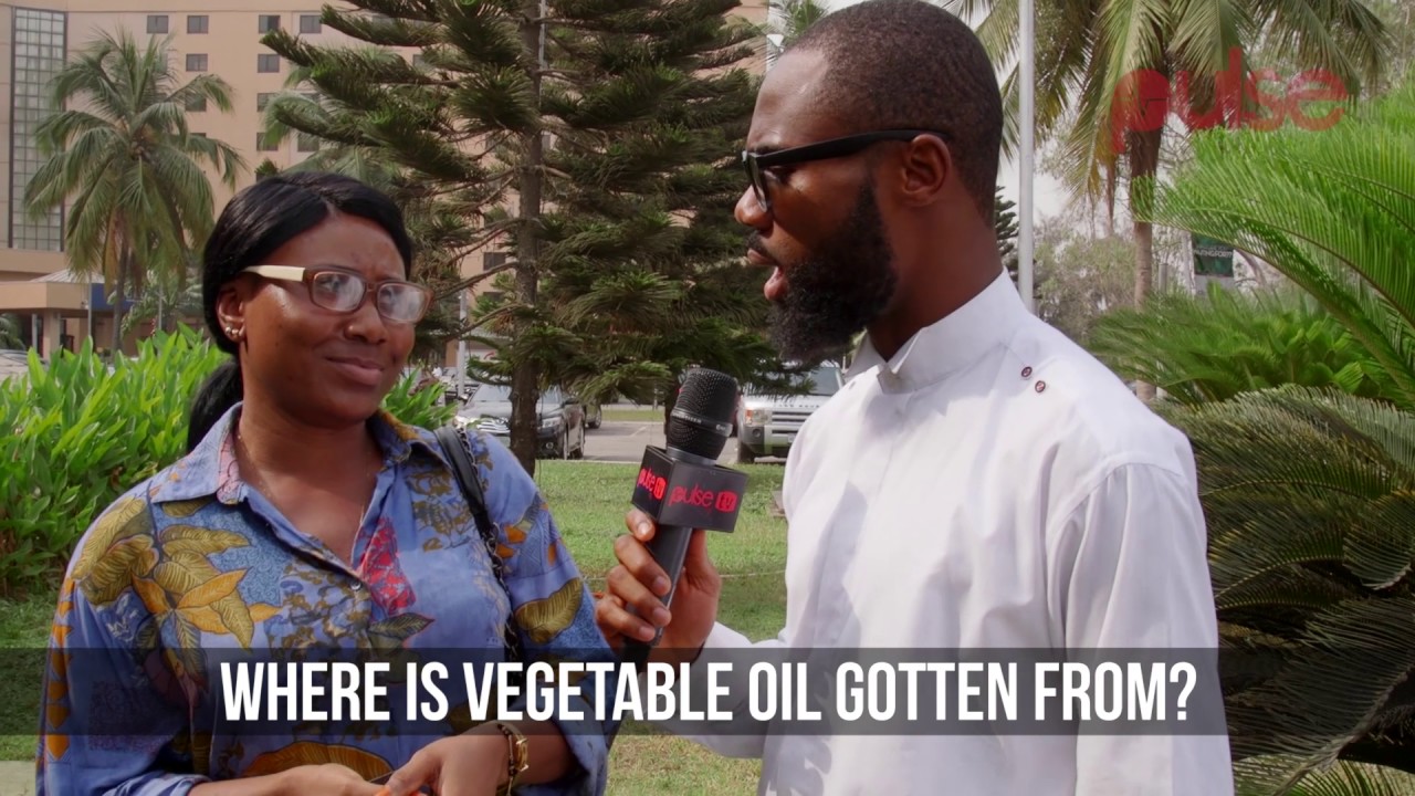videos for cats How Well Can You cook? | Pulse TV Vox Pop