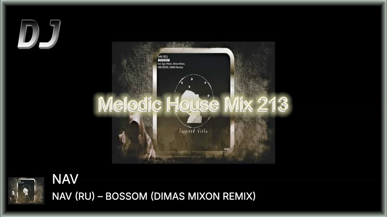 DJ BAN | Melodic House Mix 213 (Music Podcast)