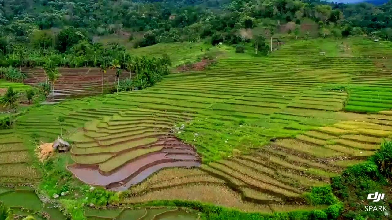 Keindahan kecamatan Wolowaru-ende-flores-NTT by DJI SPARK