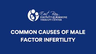 Common Causes of Male Factor Infertility | Male Infertility Explained by Dr. Larry Andrew