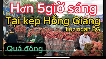 Vải Thiều Lục ngạn cập Nhật giá ngày 28/6/2023.tại kép Hồng Giang lục ngạn BG