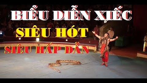 BIỂU DIỄN XIẾC - ẢO THUẬT -  CHÚ HỀ - CỰC KỲ HẤP DẪN !!!