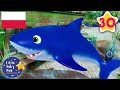Rodzinka Rekinów | 30 Minut Piosenek dla Dzieci | Little Baby Bum po Polsku
