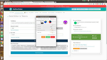 Sending custom erc20 tokens with myetherwallet com