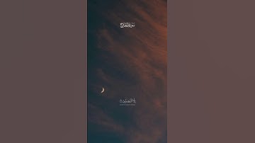 ياسر الدوسري - سورة المعارج | ان الانسان خلق هلوعا #قران #تلاوة_خاشعة #ياسر_الدوسري #آية #تلاوة