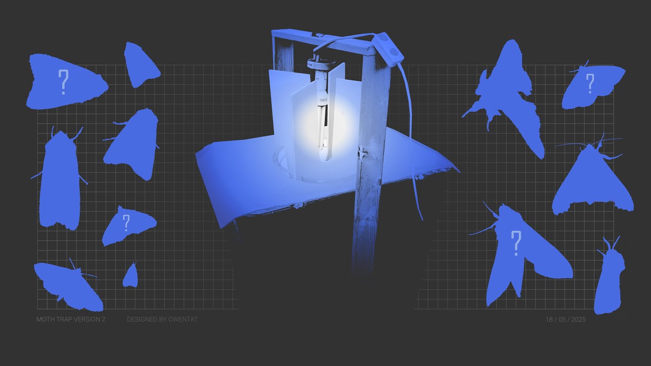 How to build your own Moth Trap | Cheap & simple