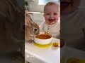 funy baby with rabbit  #sora2 #cute #babyandcat #animals #babyfunny #funny