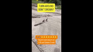 Ducks Take Advantage of Rain, Waddle Past I-35 Road Closure