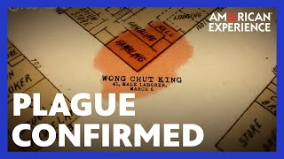 Confirming the Plague in 1900 | Plague at the Golden Gate | American Experience | PBS