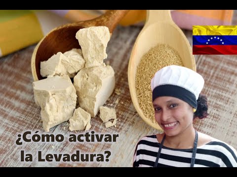 Video: Cómo Diluir La Levadura Fresca