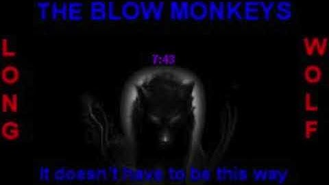 the blow monkeys it doesn
