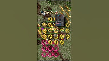 TIBIA / EL PODER DEL MONJE