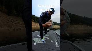 Idaho Smallies with Josh Jones #fishing #bassfishing #shorts