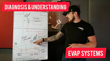 Understanding the EVAP System