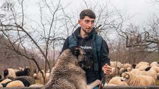 Salih's Love for Shepherding  Childhood Enthusiasm and the First Herd | Documentary4K