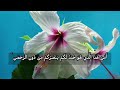 سورة الملك كاملة القارئ محمد دهشان سورة الملك كاملة القارئ محمد دهشان