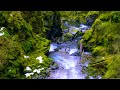 Relaxing Water Sounds for Sleeping, Studying or Stress Relief | River White Noise 10 Hours