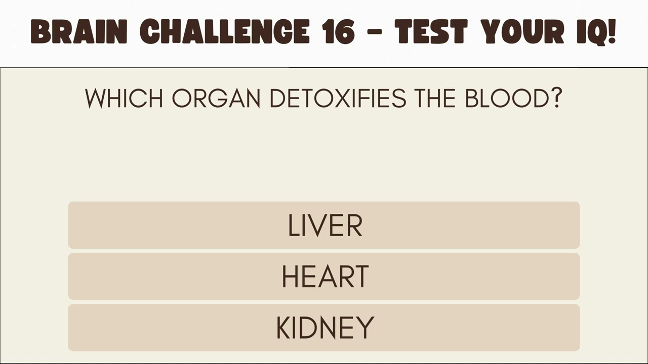 Brain Challenge 16 - Test Your IQ!