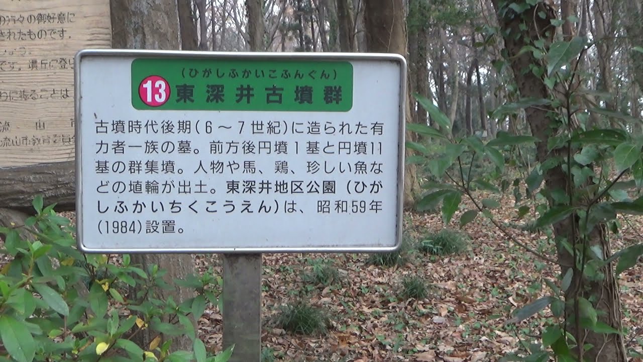 【散策シリーズ】流山市 森の図書館＆東深井古墳の森（2021.12.12）　　　　　　　　　　　　　　　＃流山市の風景＃流山市