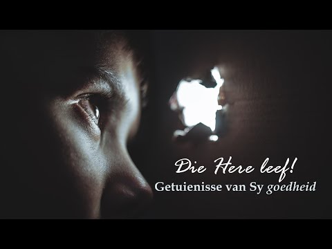 Video: Hoeveel Voëls Leef