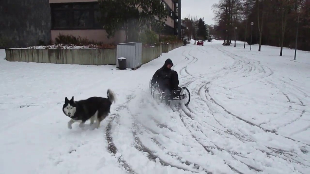 Velomo Wintertest mit Cyclecar-4K, Quad Hi-Q1 und Husky.