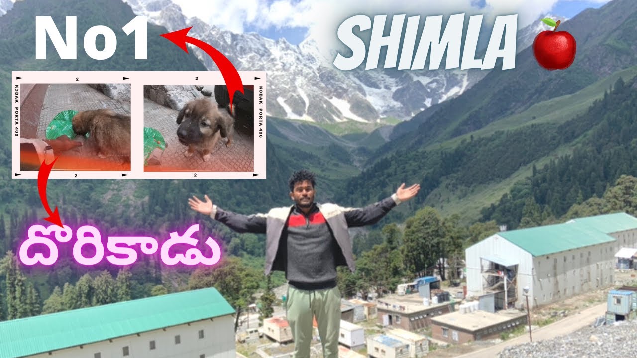 GOING TO SHIMLA  / Ladakh - ACTIVA 6G Ride / ONE MAN ONE LIFE ONE TREE