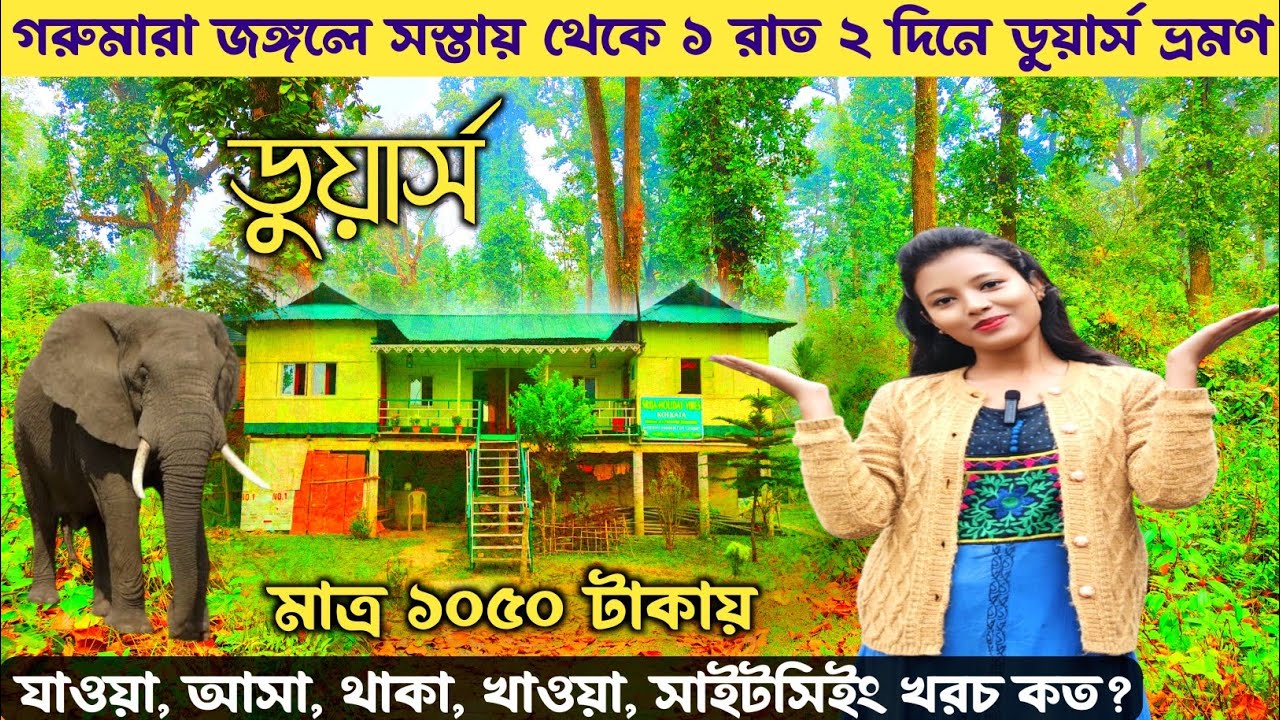 ডুযার্স ভ্রমণ এই মুহুর্তের সম্পূর্ণ তথ্য সস্তায় | Dooars Tour | Kolkata To Dooars | Dooars Tour Plan